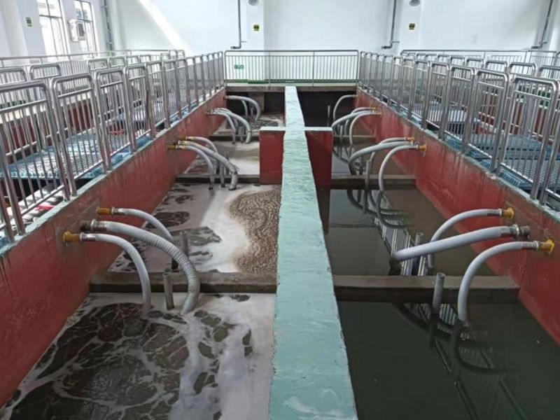Sewage Tank Sewage Tank